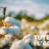 moda ecosostenibile