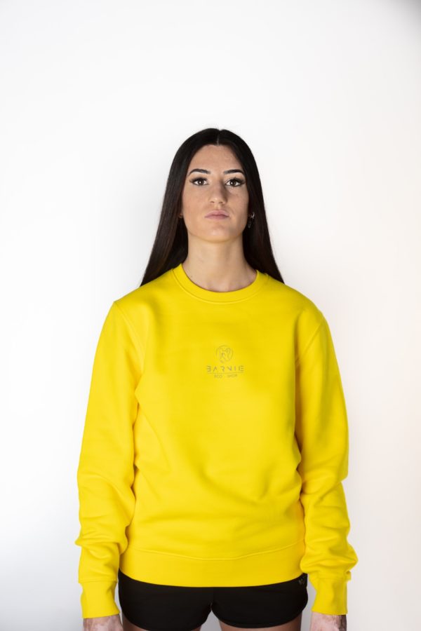 FELPA UNISEX RAINBOW GOLDEN YELLOW, LOGO CATARIFRANGENTE - immagine 4