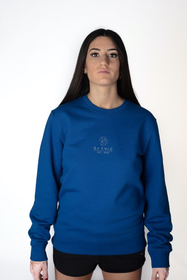 FELPA UNISEX RAINBOW, MAJORELLE BLU LOGO CATARIFRANGENTE - immagine 6