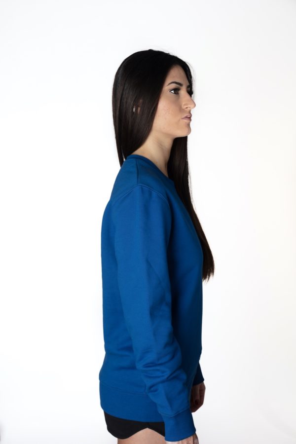 FELPA UNISEX RAINBOW, MAJORELLE BLU LOGO CATARIFRANGENTE - immagine 7