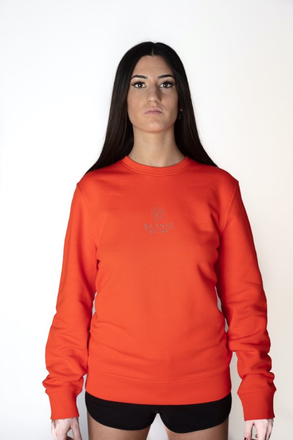 FELPA UNISEX RAINBOW TANGERINE, LOGO CATARIFRANGENTE - immagine 6