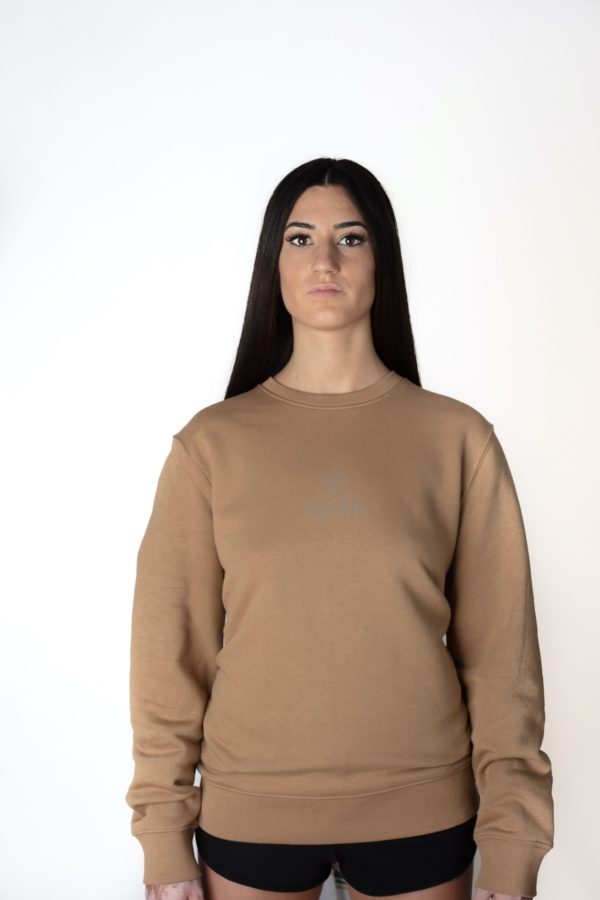 FELPA UNISEX RAINBOW CAMEL, LOGO CATARIFRANGENTE - immagine 4