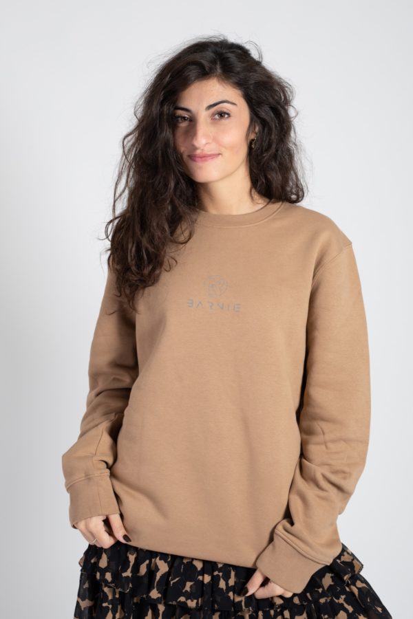 FELPA UNISEX RAINBOW CAMEL, LOGO CATARIFRANGENTE - immagine 2