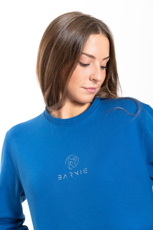FELPA UNISEX RAINBOW, MAJORELLE BLU LOGO CATARIFRANGENTE - immagine 3